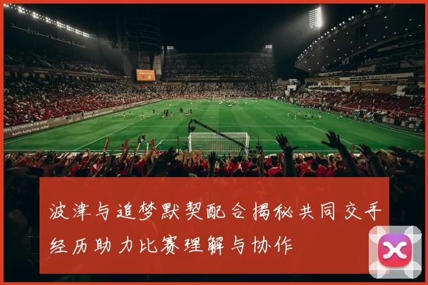 波津与追梦默契配合揭秘共同交手经历助力比赛理解与协作