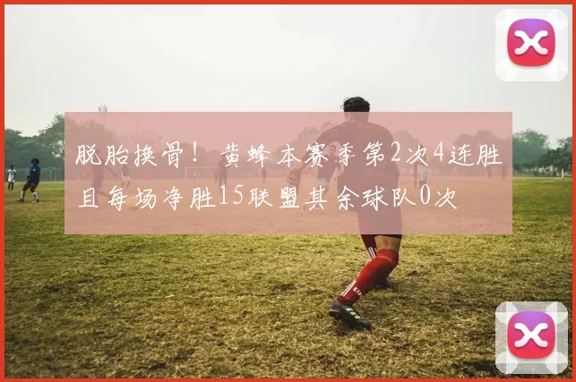 脱胎换骨！黄蜂本赛季第2次4连胜且每场净胜15联盟其余球队0次