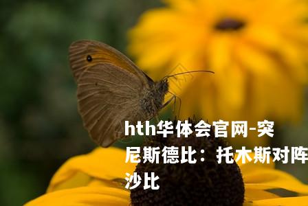 突尼斯德比：托木斯对阵沙比